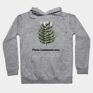 Pinus Communicatus Hoodie